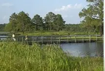 Photograph of Reed Bingham State Park, Adel