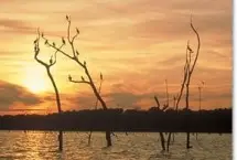 Photograph of Seminole State Park, Donalsonville