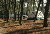 Photograph of Maurice's Campground, Wellfleet