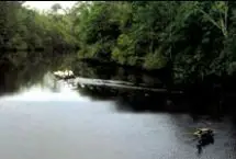 Photograph of McLeod Water Park, Kiln