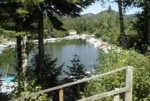 Photograph of Woods Bay Marina & RV Resort, Bigfork