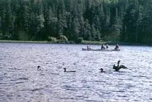 Photograph of Coleman State Park, Stewartstown