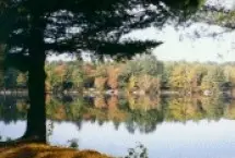 Photograph of Swanzey Camping Area, Swanzey