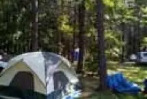 Photograph of Back Achers Campsites, Himrod