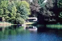 Photograph of Evergreen Trails Campground, Angelica