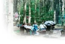 Photograph of Stewarts Pond Campsites, Hadley
