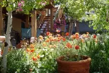 Photograph of Courtyard, Westcliffe