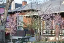 Photograph of Century House Cottages, Salida