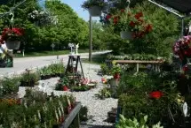 Photograph of B&B at Roseledge Herb Farm, Preston
