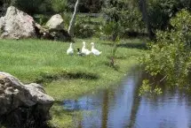 Photograph of Whispering Pines RV Park, Silver Springs