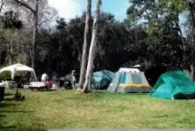 Photograph of B's Marina & Campground, Yankeetown