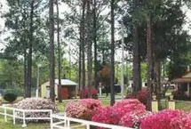 Photograph of Pine Lake RV Park, Fountain