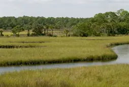 Photograph of Spruce Creek Park & Campground, Port Orange