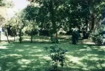 Photograph of Castle Garden, Saint Augustine