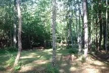 Photograph of Jonica Gap Campground, Mineral Bluff