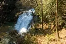 Photograph of Tiger Creek Falls Inn, Wiley