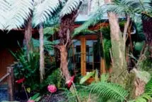 Photograph of Garuda Guesthouse, Volcano