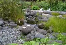 Photograph of Volcano Guest House, Volcano