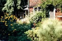 Photograph of Arbor House B&B, Marblehead