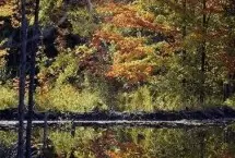 Photograph of Serenity Lake Bed and Breakfast & Day Spa, Mannford