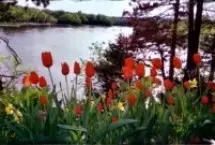 Photograph of Whispering Waters Bed & Breakfast, Wisconsin Dells