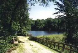 Photograph of Shimek State Forest, Farmington