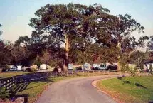 Photograph of Bayou Wilderness RV Resort, Carencro