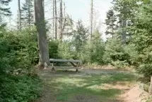 Photograph of The Last Resort Campground and Cabins, Jackman