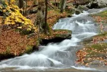 Photograph of Cunningham Falls State Park, Thurmont
