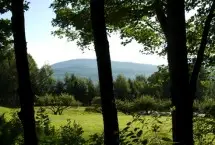 Photograph of Upland Meadow House B&B, Williamstown