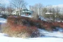 Photograph of Hillside House, Whately
