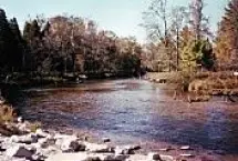 Photograph of Heart Of The Forest RV Park, Wellston