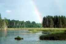 Photograph of Deer Marsh Interpretive Trail, Sidnaw
