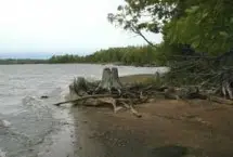 Photograph of Boney Falls Basin, Gladstone