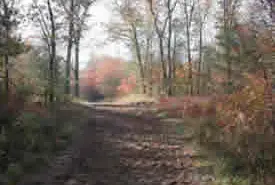 Photograph of Silver Creek Park, Hamilton