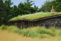 Photograph of Sod House on the Prairie, Sanborn