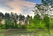 Photograph of Blackberry Creek Retreat Bed And Breakfast, Rogersville