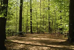 Photograph of Lake Ivanhoe Campground, East Wakefield