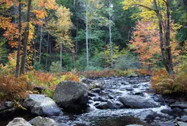 Photograph of Cascade Park Camping Area, Loudon