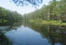 Photograph of Chips Folly Family Campground, New Gretna