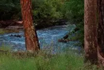 Photograph of Bonito Hollow RV Park & Campground, Ruidoso