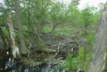 Photograph of Battenkill Riversports and Campground, Cambridge