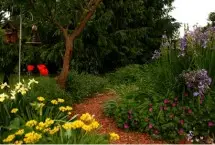 Photograph of Macintire's Cottage B&B, Ithaca