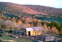 Photograph of Stoneflower Farm B&B, Bovina Center