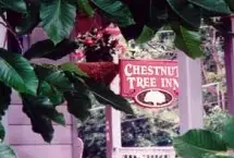 Photograph of Chestnut Tree Inn, Saratoga Springs