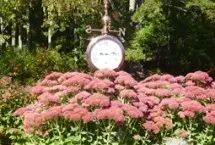 Photograph of Lazy Pond Bed & Breakfast / Hotel / Inn, Liberty