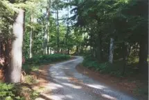 Photograph of Northbrook Lodge, Paul Smiths