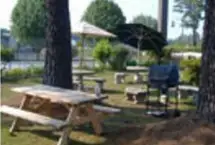 Photograph of Holiday Motel, Whiteville