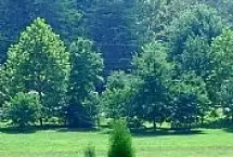 Photograph of Dan River Campground, Stoneville