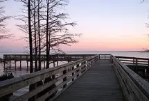 Photograph of Pettigrew State Park, Creswell